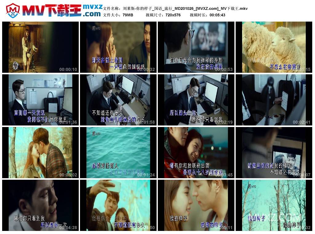 刘莱斯-你的样子_国语_流行_MD201026